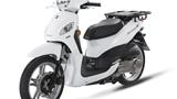 Sym Symphony Cargo 125